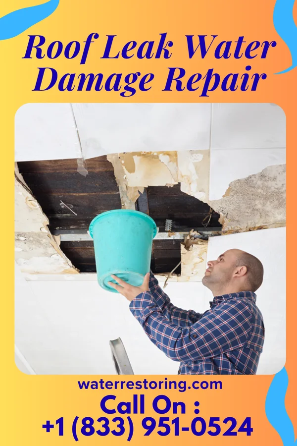 Roof Leak Water Damage Repair in Kirbyville, MO